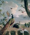 Palace of Amsterdam with Exotic Birds - Melchior de Hondecoeter