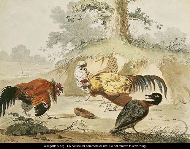 Cocks Fighting - Melchior de Hondecoeter