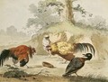 Cocks Fighting - Melchior de Hondecoeter