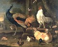 Poultry - Melchior de Hondecoeter
