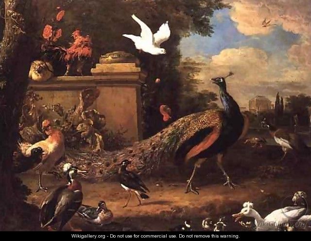 Peacocks and other Birds by a Lake - Melchior de Hondecoeter