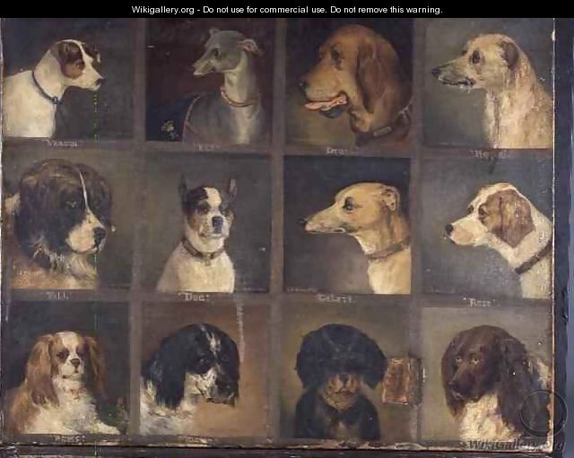 Twelve Favourite Dogs - Edwin Frederick Holt