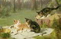 Kittens Playing - Ewald Honnef
