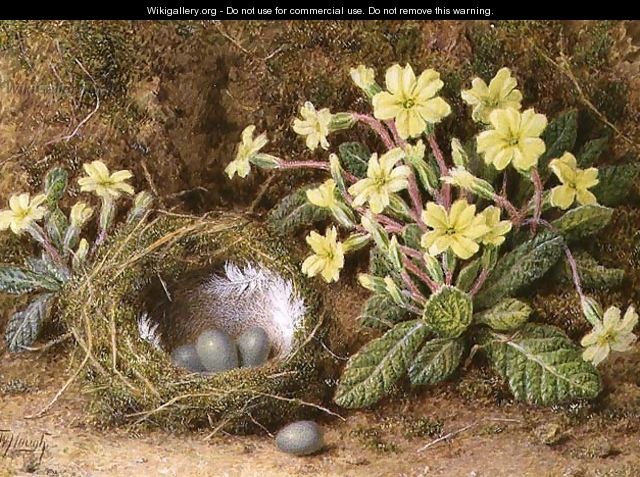 Still Life of Eggs in a Nest and Primroses - William B. Hough
