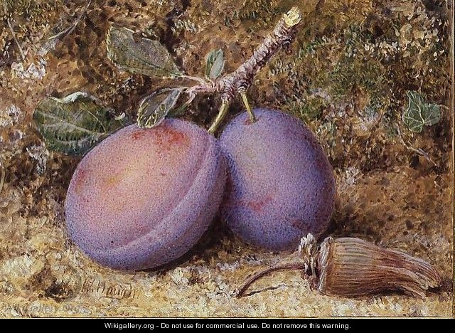 Plums and a cob nut - William B. Hough