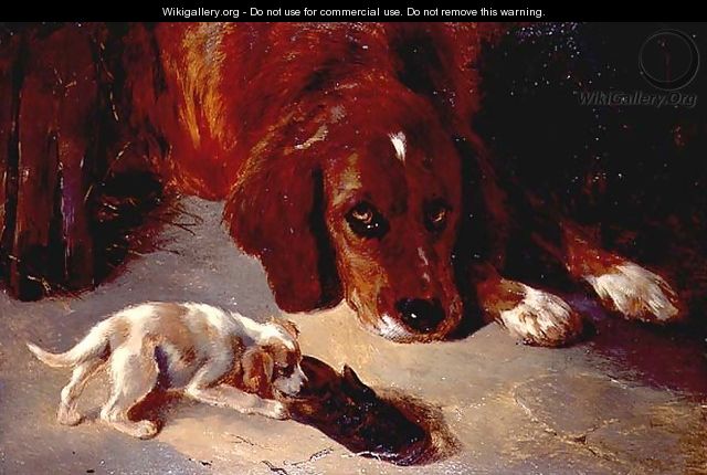 An Inquisitive Puppy - George W. Horlor