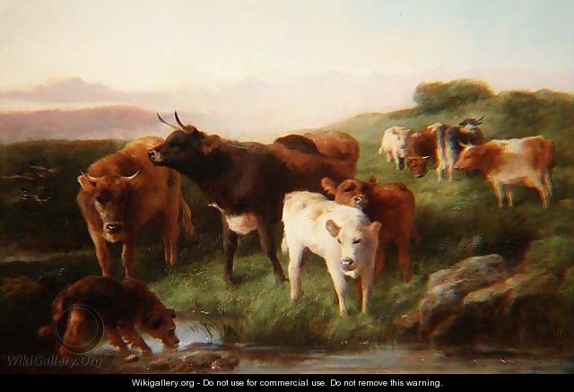 Highland cattle grazing - George W. Horlor