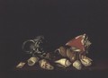 Still Life of Shells on a Ledge 2 - Louis Hubner
