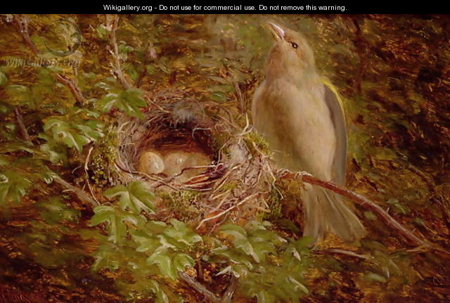 A Greenfinch at its Nest - William Hughes