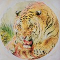 Tigers Head - William Huggins