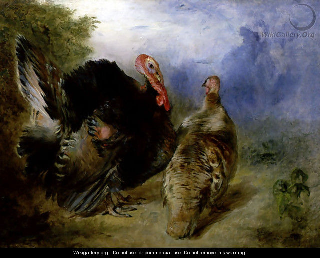 Turkeys - William Huggins