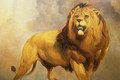 Lion 3 - William Huggins