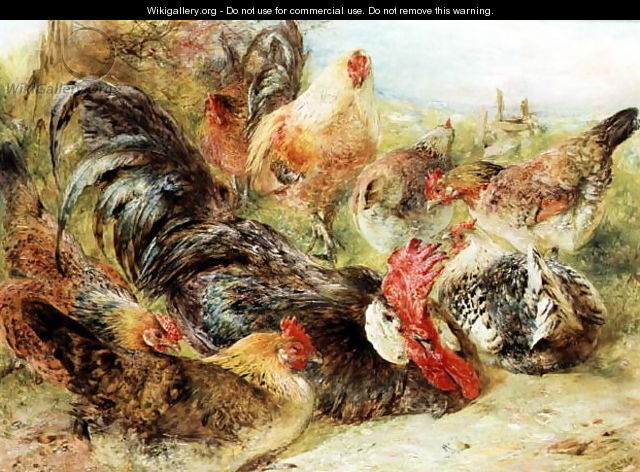 Poultry - William Huggins