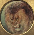 Study of a Lion - William Huggins