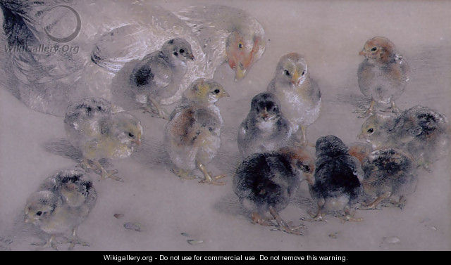 Study of Chickens - William Huggins