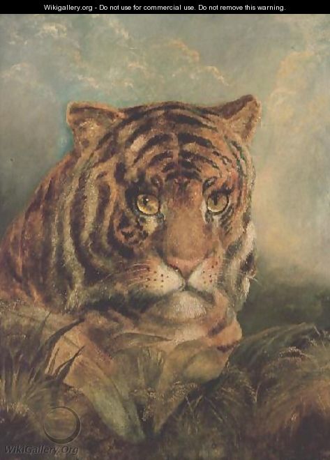 Tiger - William Huggins