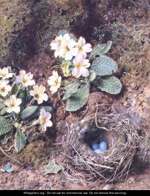 Primroses and Birds Nest with Three Blue Eggs - William Henry Hunt