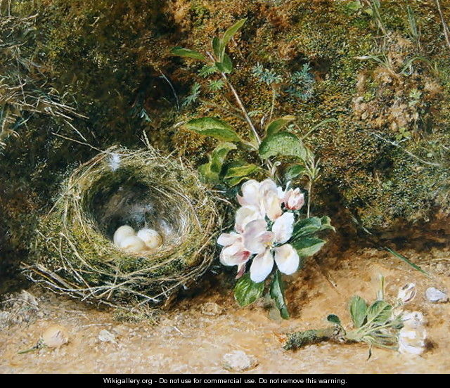Birds Nest with Sprays of Apple Blossoms - William Henry Hunt