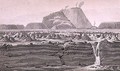 Volcano of Jorullo - (after) Humboldt, Friedrich Alexander, Baron von
