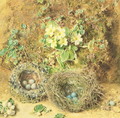 Primroses and Birds Nests - William Henry Hunt