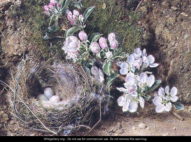 Branch of Apple Blossom and Birds Nest - William Henry Hunt