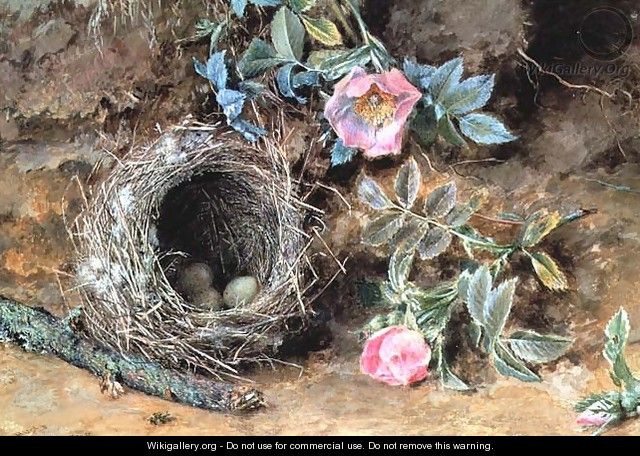 Wild Roses and Birds Nests - William Henry Hunt