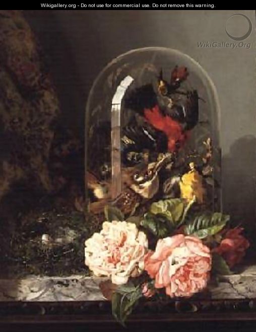 Still Life with Humming Bird in a Glass Dome - Edward Ladell