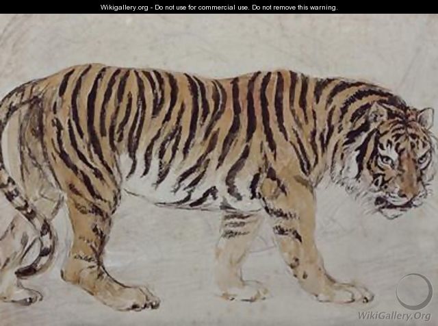 Tiger - Sir Edwin Henry Landseer