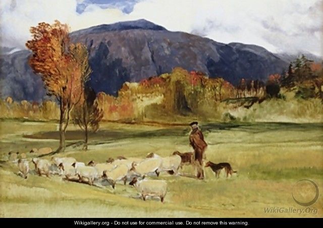 A Shepherd and his Flock - Sir Edwin Henry Landseer