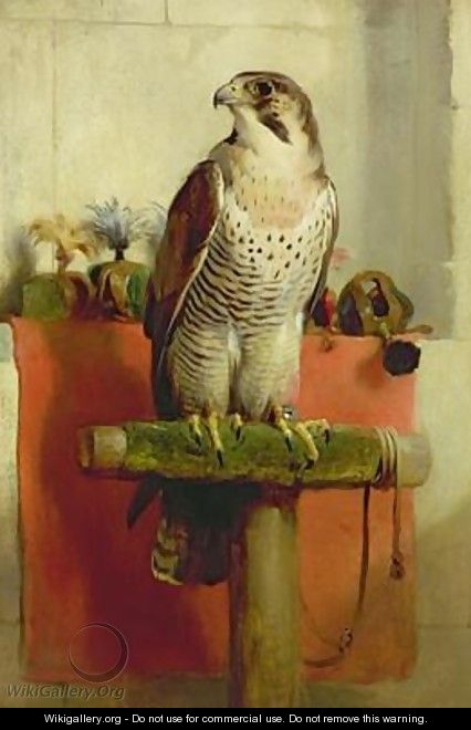 Falcon - Sir Edwin Henry Landseer