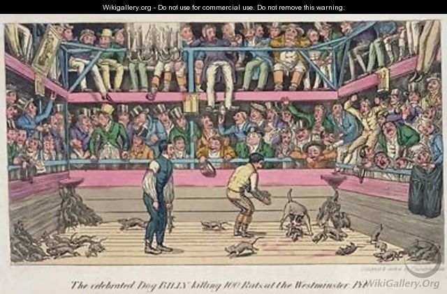 The Celebrated Dog Billy Killing 100 Rats at the Westminster Pit