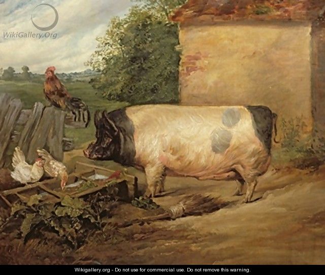 Portrait of a prize pig property of Squire Weston of Essex - Sir Edwin Henry Landseer