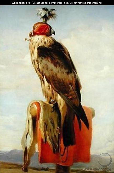 Hooded Falcon - Sir Edwin Henry Landseer