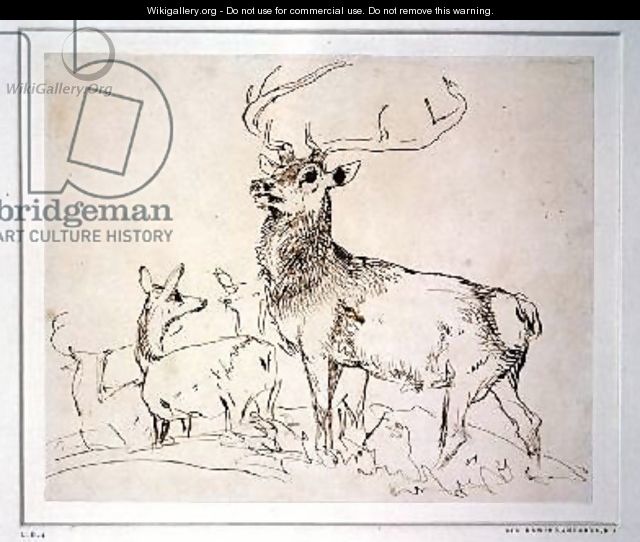 Stag and Does - Sir Edwin Henry Landseer