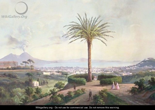 View of Naples from Capodimonte - P. Lapira