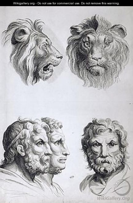 Similarities Between the Head of a Lion and a Man - (after) Le Brun, Charles
