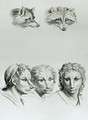 Similarities Between the Head of a Fox and a Man - (after) Le Brun, Charles