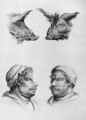 Similarities Between the Head of a Boar and a Man - (after) Le Brun, Charles
