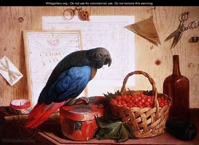 Trompe Loeil with Still Life of Strawberries and a Parrot - Sebastiano Lazzari