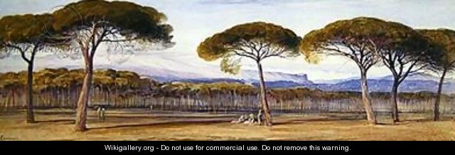 A View of the Pine Woods Above Cannes - Edward Lear