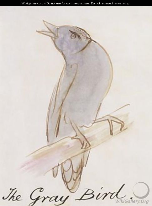 The Gray Bird - Edward Lear