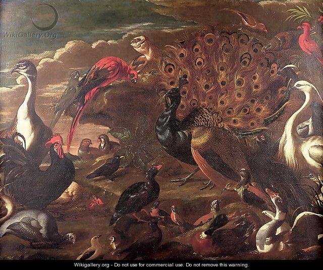 The Birds and the Beasts - Jacob van der (Giacomo da Castello) Kerckhoven