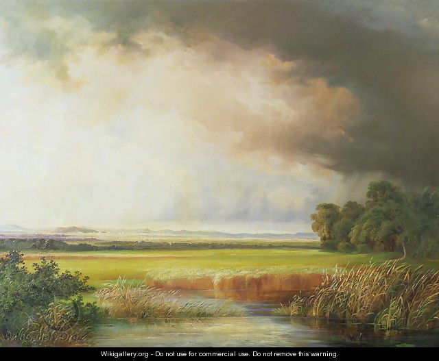 Reed beds with extensive landscape - Johann Kautsky