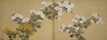 Chrysanthemums Edo period - Suzuki Kiitsu