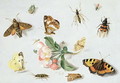 Butterflies moths and other insects with a sprig of apple blossom - Jan van Kessel