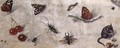 A Study of Various Insects Fruit and Animals - Jan van Kessel