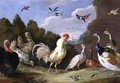 Wooded Landscape with a Cock Turkey Hens and other Birds - Jan van Kessel