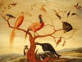 A Concert of Birds - Jan van Kessel