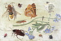 Insects 4 - Jan van Kessel