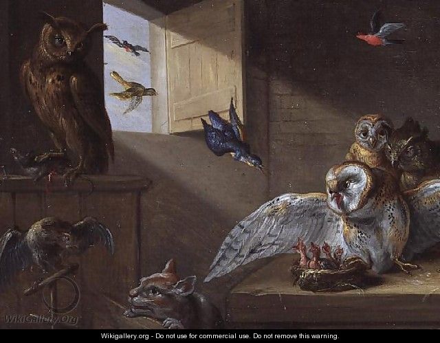 A Family of Owls other Birds and a Cat - Jan van Kessel
